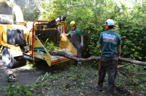 tree services Sully